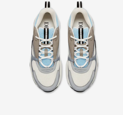 Dior B22 White Blue