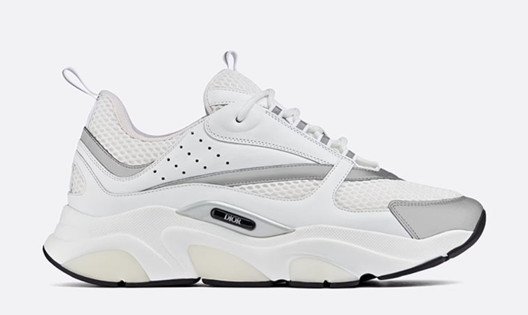 Dior B22 White Silver sneaker
