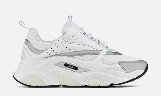 Dior B22 White Silver sneaker