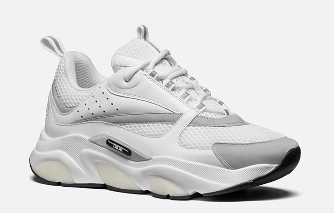 Dior B22 White Silver sneaker