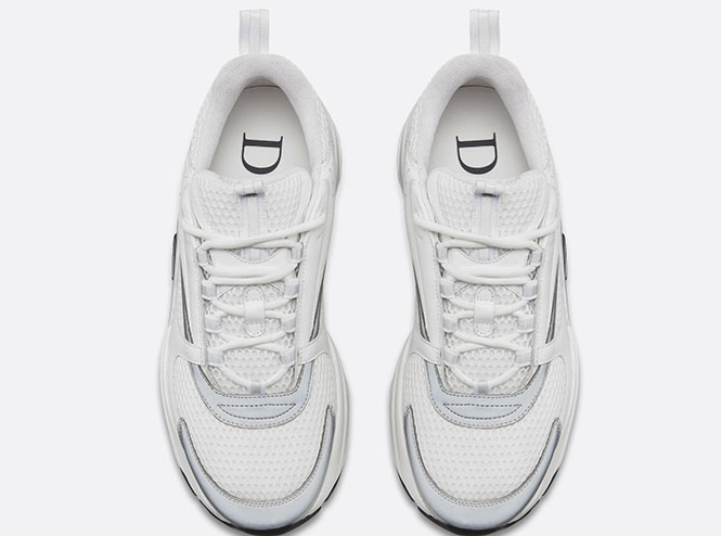 Dior B22 White Silver sneaker