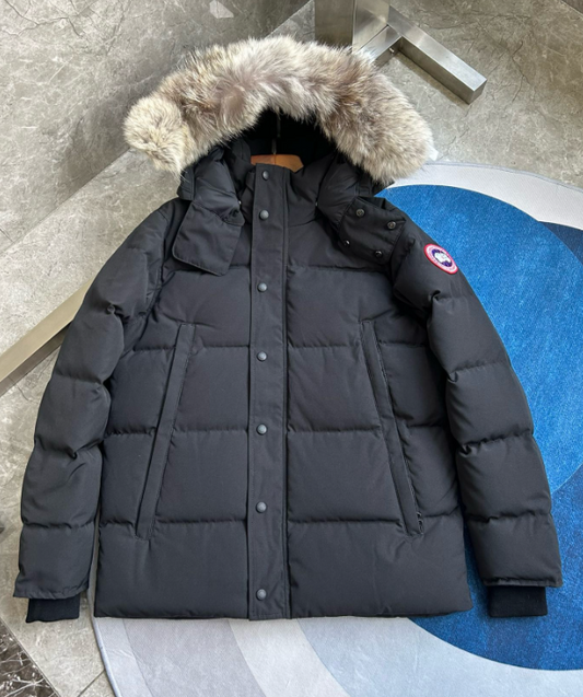 Canadaa Goose Wyndham Parka Black