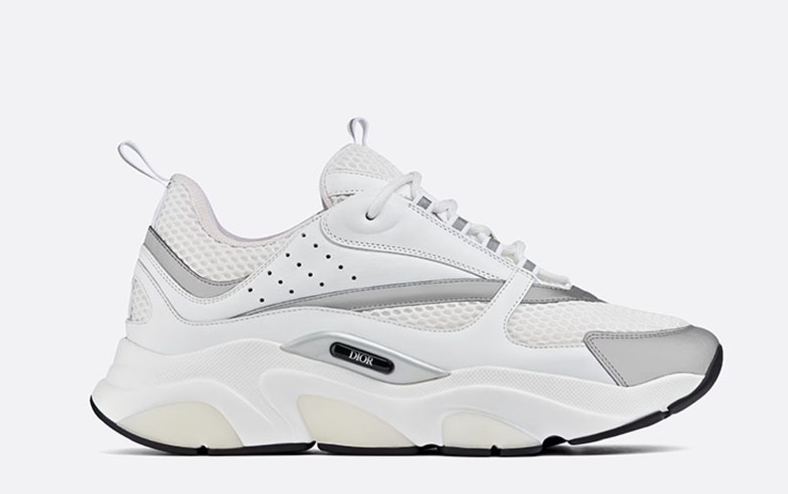 Dior B22 White Silver sneaker